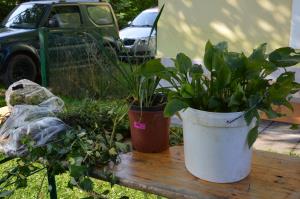 Izmenjevalnica v Zavodu Stanislava bo postala spomladanske in jesenska stalnica 2